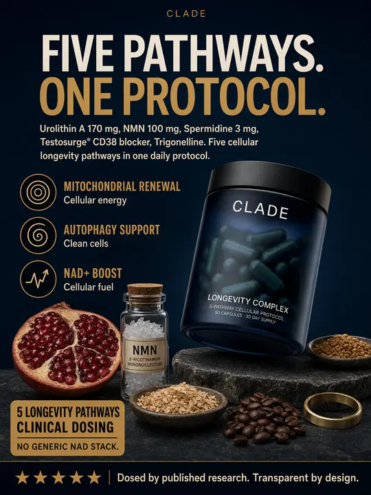 Clade - Longevity · supplements